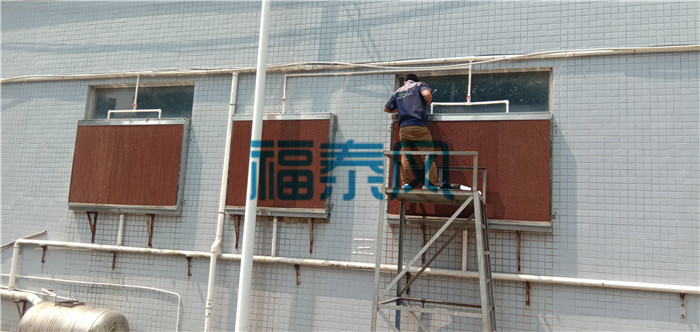 顶楼铁皮房叼嘿视频大全通风降温案例