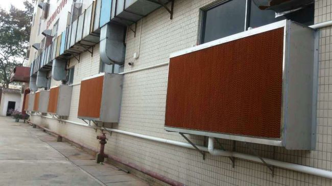水帘降温：温室的清凉守护者